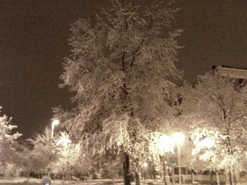 Low angle view of illuminated street light at night