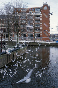 View of canal and buildings in city