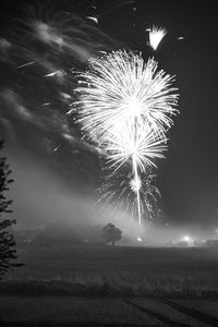 Firework display at night