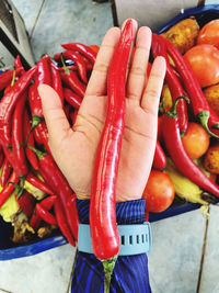 Close-up of hand holding red chili peppers