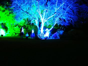 People in illuminated park against sky at night