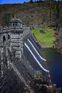 High angle view of river amidst plants
