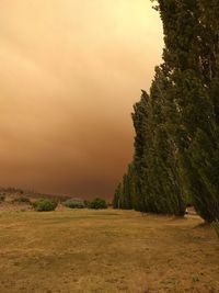 Smoke in the higher atmosphere 