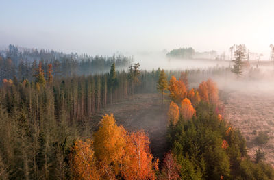 Plants growing on land against sky during autumn