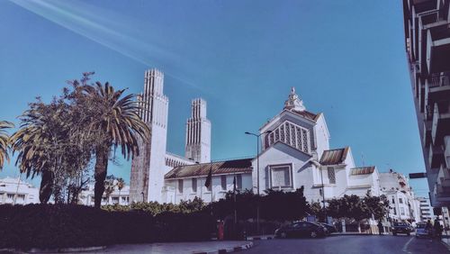 Low angle view of palm trees and buildings against sky