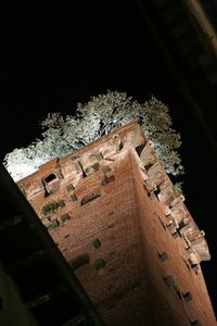 Low angle view of built structure