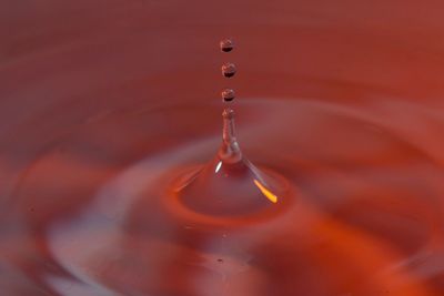Close-up of water splashing