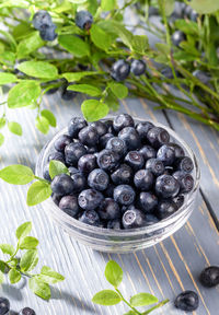 Washed wild blueberries in glass bowl and green branches with berries on grey wooden table.
