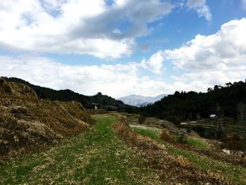 Scenic view of agricultural field against sky