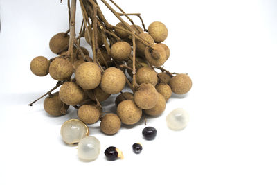 High angle view of fruits in plate against white background