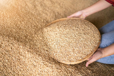 Cropped hand of person holding sand