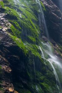 Scenic view of waterfall