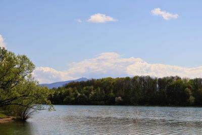 Scenic view of lake by trees against sky