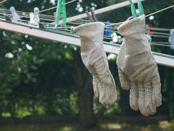 Close-up of gloves hanging on clothesline