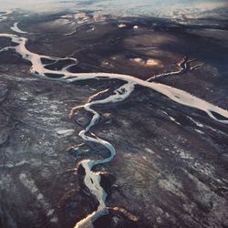 High angle view of driftwood on land