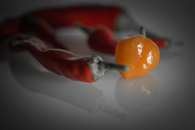 Close-up of tomatoes in plate