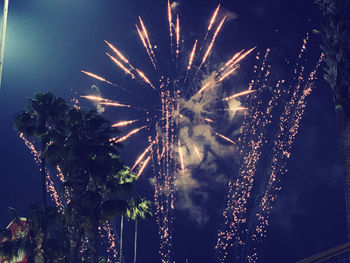 Low angle view of fireworks against sky at night