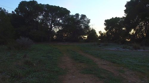 Scenic view of grassy field against sky