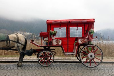 View of a horse cart