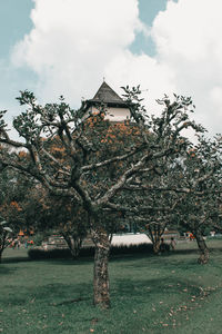 Traditional building by tree on field against sky