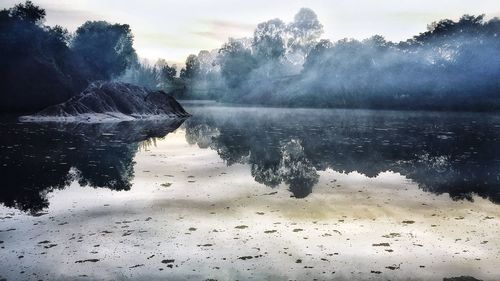 Reflection of trees in water