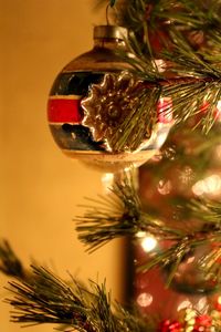 Close-up of christmas tree
