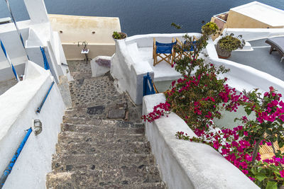 High angle view of potted plants by building