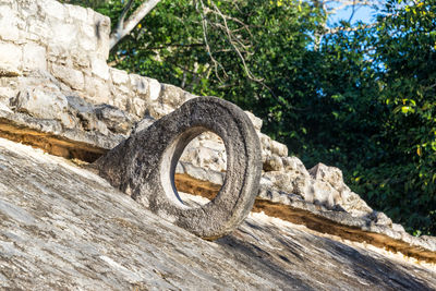 Close-up of tire on rock against trees