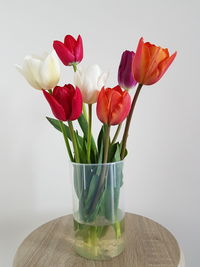 Close-up of red tulips in vase against white background