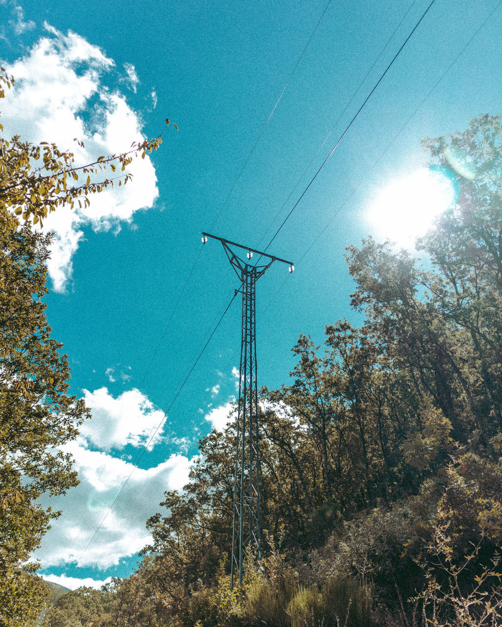 sky, electricity, cable, plant, tree, low angle view, nature, power line, technology, electricity pylon, cloud, power supply, power generation, no people, growth, day, sunlight, beauty in nature, outdoors, blue, wind, overhead power line, land, scenics - nature, tranquility