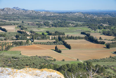 Scenic view of agricultural field against sky