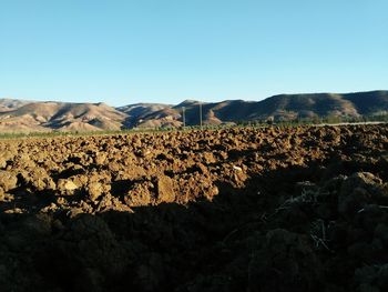 Scenic view of landscape against clear blue sky