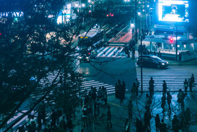 High angle view of trees in city at night
