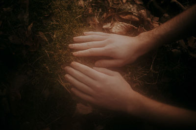 Close-up of hand touching plant