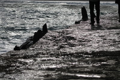 Low section of woman standing on shore