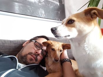 Portrait of man with dogs on sofa