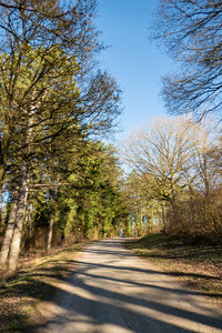 Road amidst trees against sky