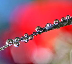 Close-up of water drops on bubbles