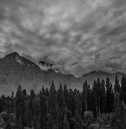 Panoramic view of trees and mountains against sky