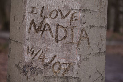 Close-up of text on heart shape on tree trunk