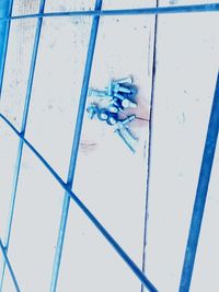 High angle view of trees