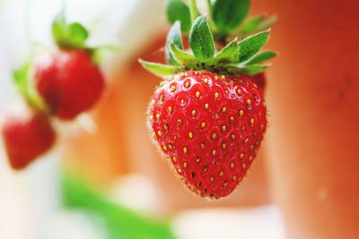 Close-up of strawberry