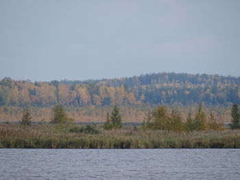 Scenic view of trees by lake against sky