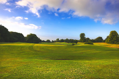Scenic view of grassy field against sky