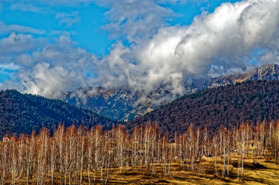 Panoramic view of landscape against sky