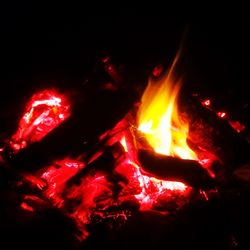 Close-up of fire in fire