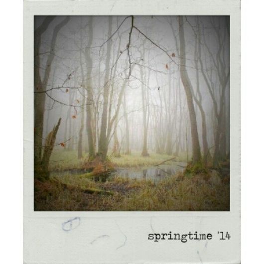 text, transfer print, communication, auto post production filter, western script, indoors, day, close-up, no people, tree, fog, nature, window, growth, plant, copy space, field, tranquility, non-western script