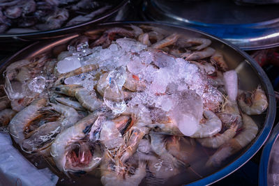 High angle view of fish in container