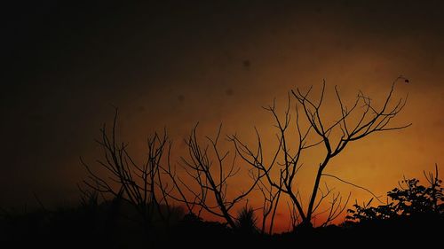 Silhouette of trees against sky at sunset