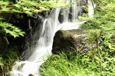 Scenic view of stream flowing through rocks